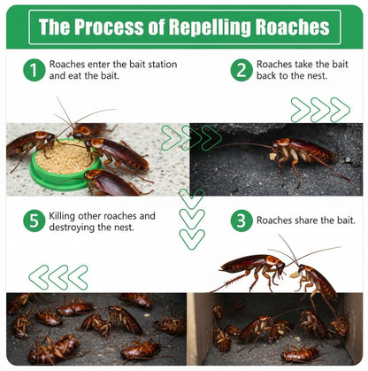 Natural Cockroach Killer